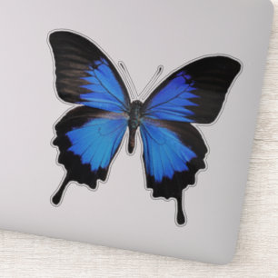 Sticker Papillon bleu 3