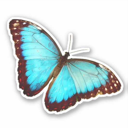 Sticker Papillon bleu Morpho (Devant)
