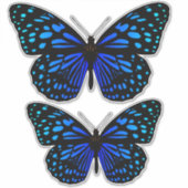 Sticker Papillon bleu Thunder_Cove (Devant)