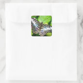 Sticker papillon Clipper Bleu (Sac)