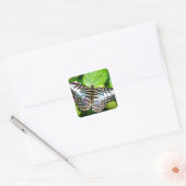 Sticker papillon Clipper Bleu (Enveloppe)