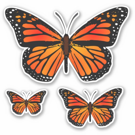 Sticker Papillon monarque (Devant)
