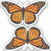 Sticker Papillon monarque (Recto)