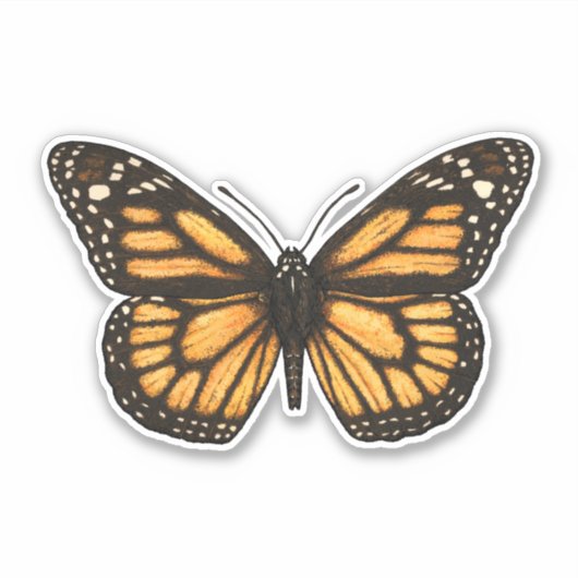 Sticker Papillon monarque (Devant)