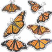Sticker Papillon monarque (Devant)