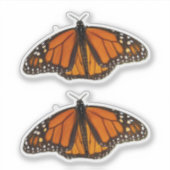 Sticker Papillon monarque ailes ouvertes (Devant)