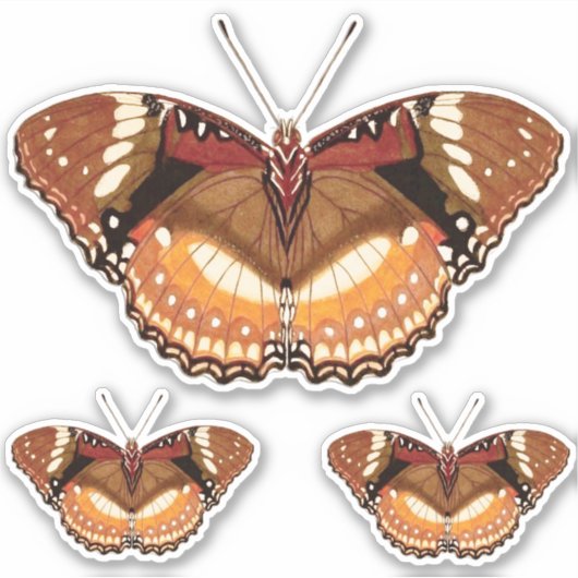 Sticker Papillon Monarque en Brown, rouille et crème (Devant)