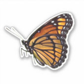 Sticker Papillon Monarque réaliste (Devant)