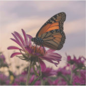 Sticker Papillon monarque sur une fleur (Devant)