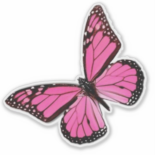 Sticker papillon rose (Devant)