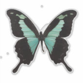 Sticker Papillon turquoise (Devant)