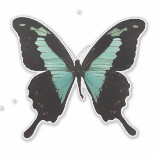 Sticker Papillon turquoise (Devant)