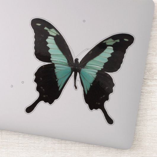 Sticker Papillon turquoise (Détail)
