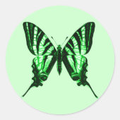 Sticker papillon vert (Devant)