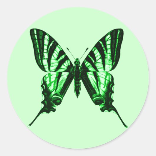 Sticker papillon vert (Devant)