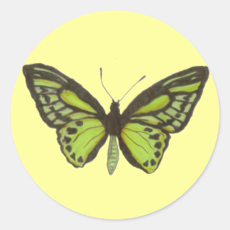 Sticker papillon vert