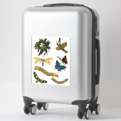 Sticker Papillons Beetle Bugs Insectes Collage Art (Sur valise)