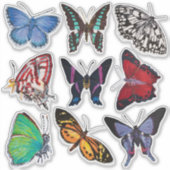 Sticker Papillons (feuille 1 Alphabet des papillons) (Devant)