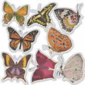 Sticker Papillons (feuille 2 Alphabet des papillons) (Devant)