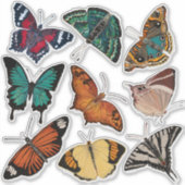 Sticker Papillons (feuille 3 Alphabet des papillons) (Devant)