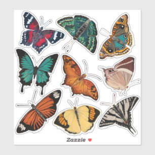 Sticker Papillons (feuille 3 Alphabet des papillons)