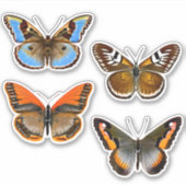 Sticker Papillons marron, orange et bleu (Devant)