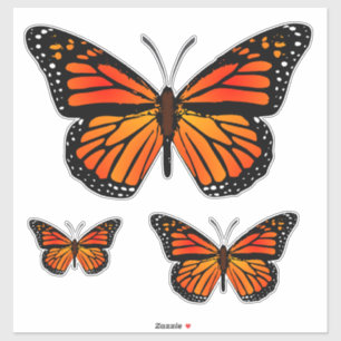 Sticker Papillons Monarch