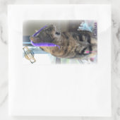 Sticker PAR César (Sac)