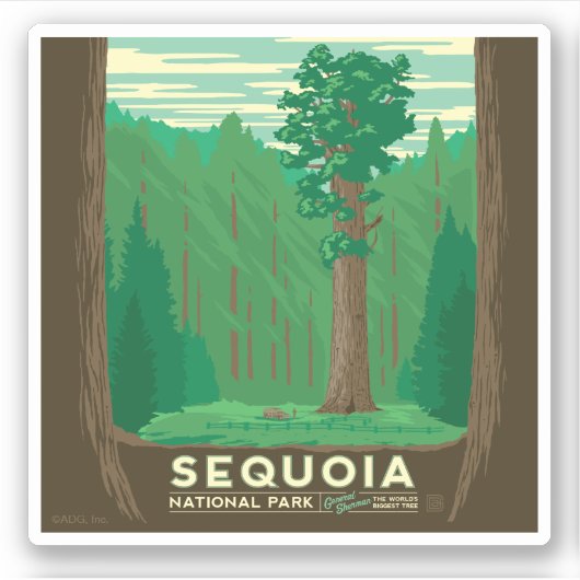 Sticker Parc national de Sequoia (Devant)