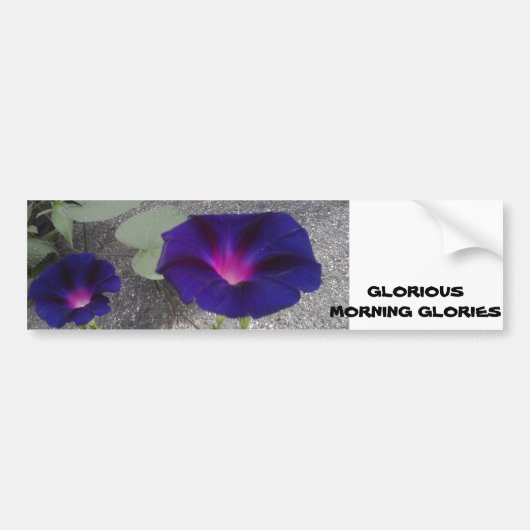 Sticker pare-chocs à fleurs du matin (Devant)