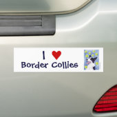 Sticker pare-chocs Collie Bordure (En voiture)