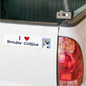 Sticker pare-chocs Collie Bordure (Sur camion)