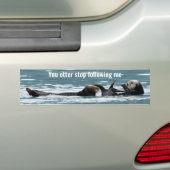 Sticker pare-chocs de loutres (En voiture)