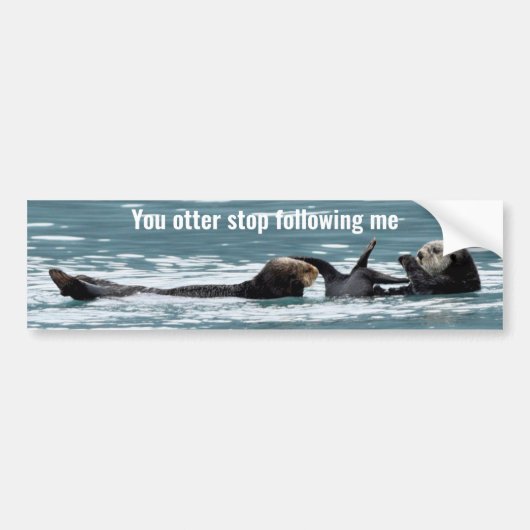 Sticker pare-chocs de loutres (Devant)