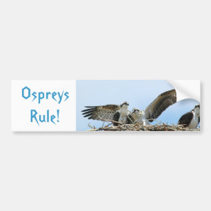 Sticker pare-chocs de règle Ospreys