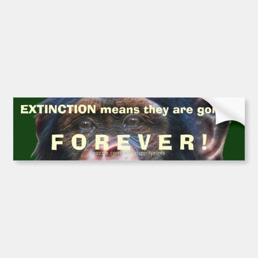 Sticker pare-chocs d'extinction CHIMPANZEE jour de (Devant)