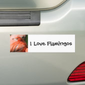 Sticker pare-chocs Flamant rose (En voiture)