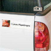 Sticker pare-chocs Flamant rose (Sur camion)