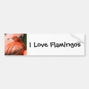 Sticker pare-chocs Flamant rose