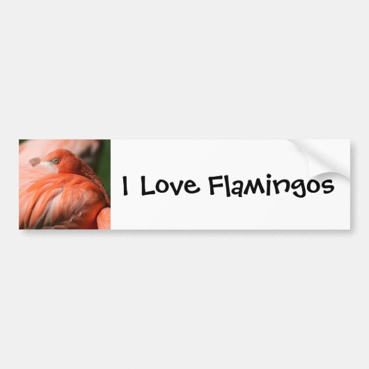Sticker pare-chocs Flamant rose (Devant)