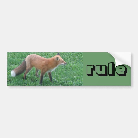 sticker pare-chocs Fox (Devant)