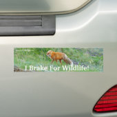 Sticker pare-chocs Fox Wildlife Protection (En voiture)
