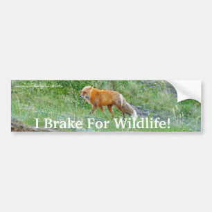 Sticker pare-chocs Fox Wildlife Protection