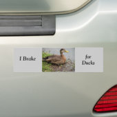 Sticker pare-chocs, frein pour canards (En voiture)