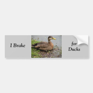 Sticker pare-chocs, frein pour canards