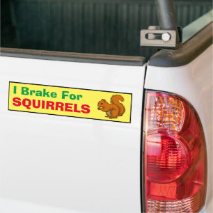 Sticker pare-chocs - Je freine pour écureuils