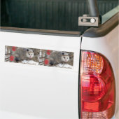 Sticker pare-chocs Opossum (Sur camion)