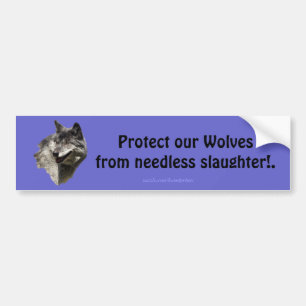 Sticker pare-chocs pour la conservation du loup de