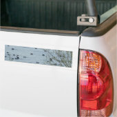 Sticker pare-chocs pour les oiseaux du lac (Sur camion)