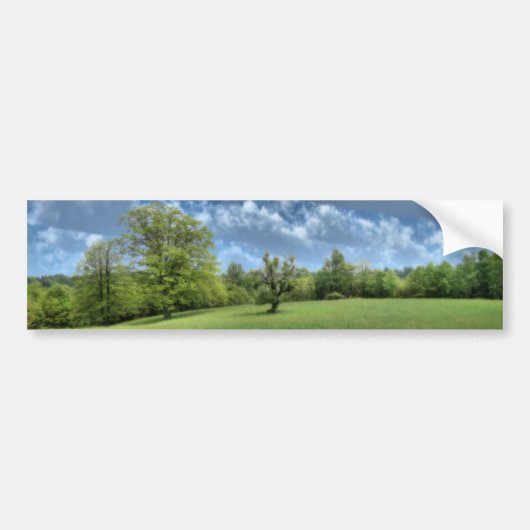 Sticker pare-chocs vert Appalachian (Devant)